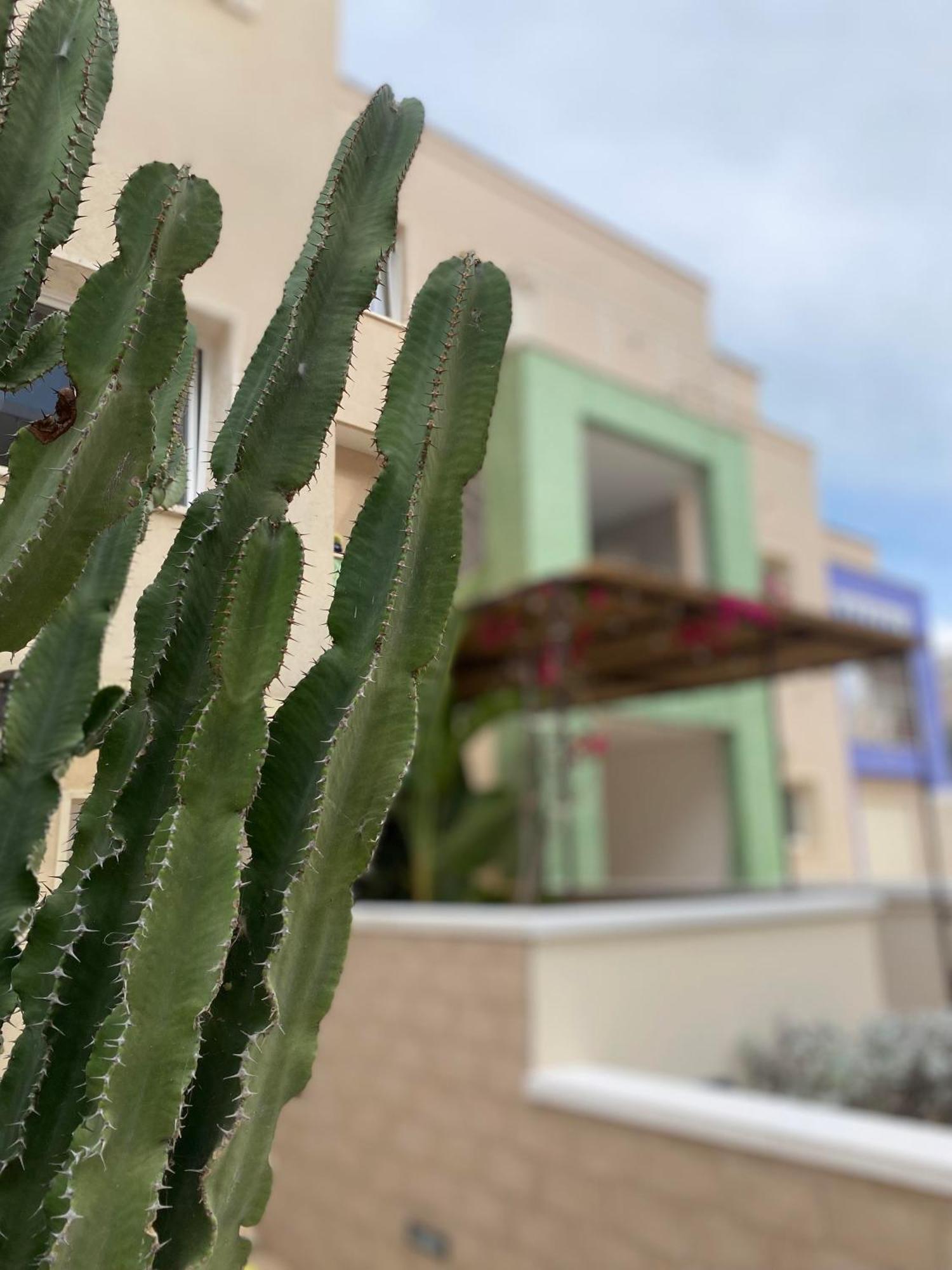 Bolina Luxury Suites Gallipoli Buitenkant foto